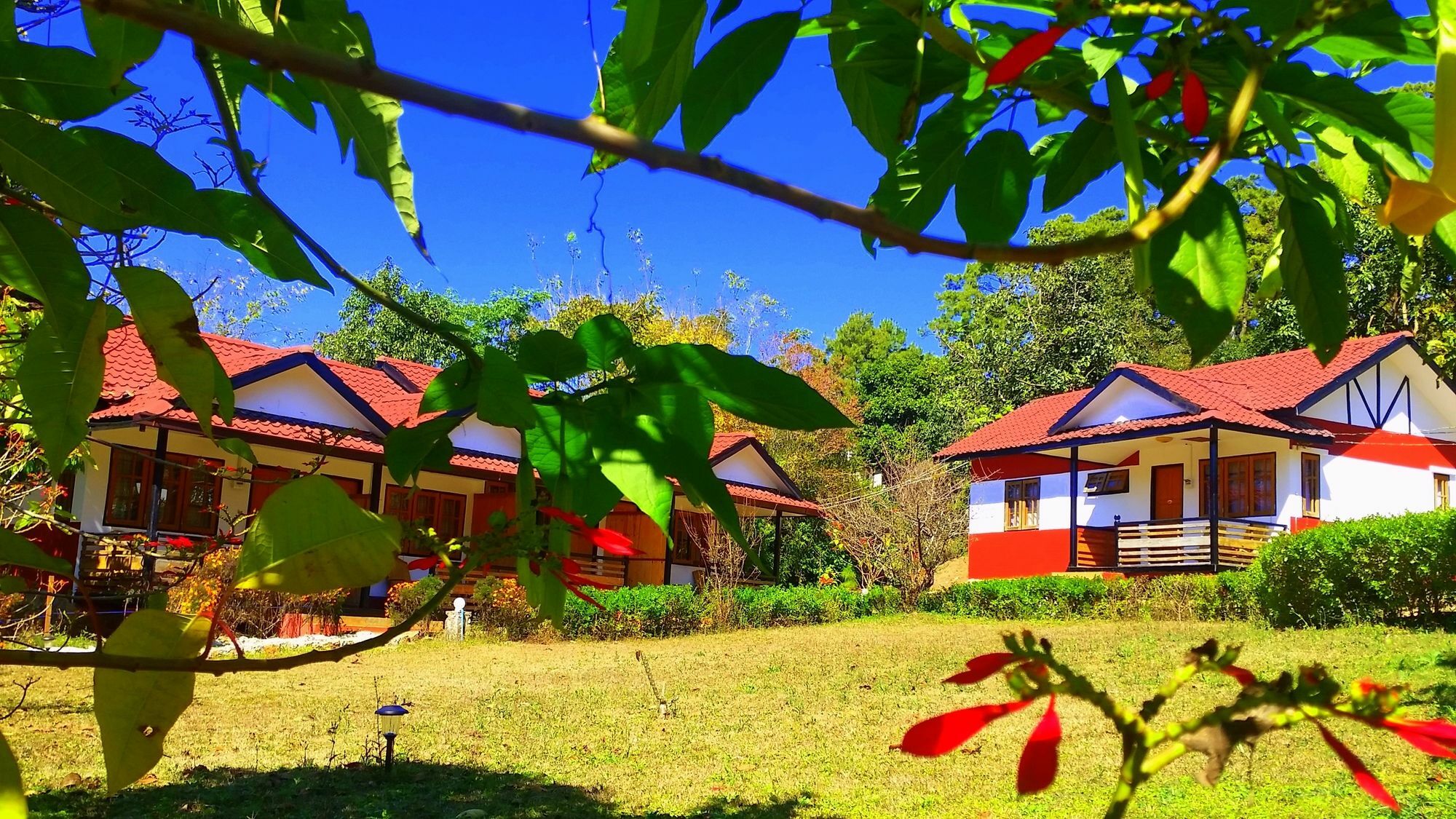 Morning Glory Inn Kalaw Extérieur photo